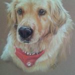 Dog, pastel, painting portrait art