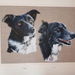 Dogs.sheepdogs, acrylics