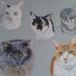 Pastel, cats,