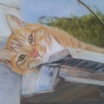 Cat, pastel