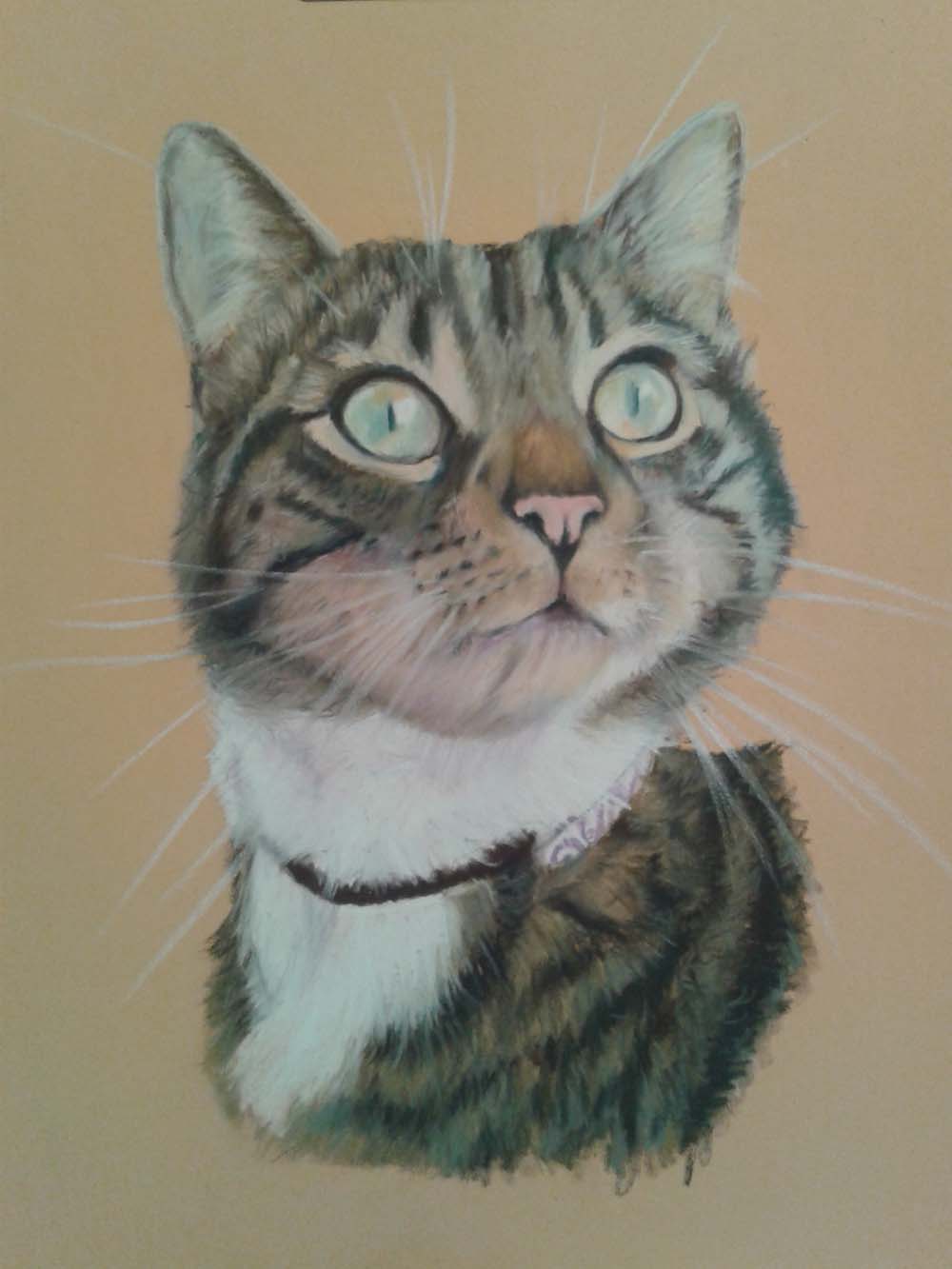Cat, pastel, painting, commission