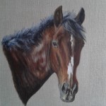 Acrylics natural linen