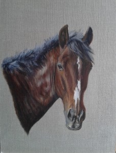 Sept-horse-for-web-site.jpg